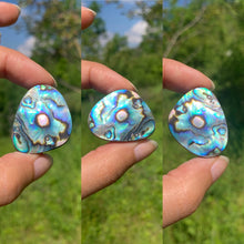 Charger l'image dans la galerie, Abalone 58