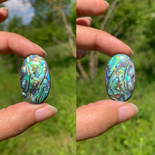 Charger l'image dans la galerie, Abalone 67