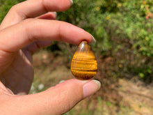 Charger l'image dans la galerie, VENDU Oeil de tigre 53