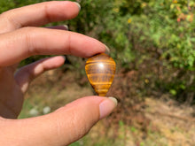 Charger l'image dans la galerie, VENDU Oeil de tigre 53