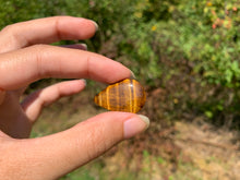 Charger l'image dans la galerie, VENDU Oeil de tigre 53