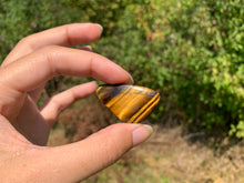 Charger l'image dans la galerie, Oeil de tigre 54