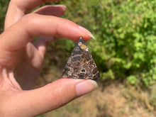 Charger l'image dans la galerie, Jaspe à turritelles 27