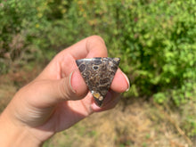 Charger l'image dans la galerie, Jaspe à turritelles 27