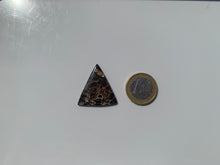 Charger l'image dans la galerie, Jaspe à turritelles 27