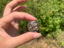 Charger l'image dans la galerie, Jaspe à turritelles 29