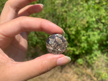 Charger l'image dans la galerie, Jaspe à turritelles 29