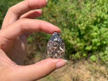 Charger l'image dans la galerie, Jaspe à turritelles 30