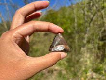 Charger l'image dans la galerie, Microcline / Pierre de lune 9