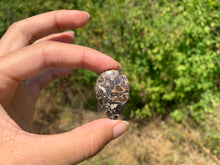 Charger l'image dans la galerie, Jaspe à turritelles 30