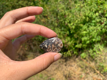 Charger l'image dans la galerie, Jaspe à turritelles 30