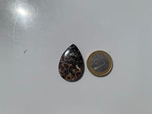 Charger l'image dans la galerie, Jaspe à turritelles 30