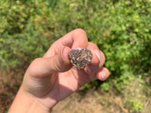 Charger l'image dans la galerie, Jaspe à turritelles 31