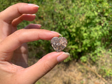 Charger l'image dans la galerie, Jaspe à turritelles 31