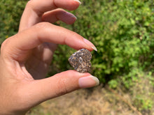 Charger l'image dans la galerie, Jaspe à turritelles 31