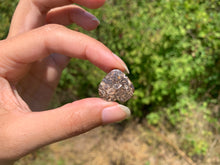 Charger l'image dans la galerie, Jaspe à turritelles 31