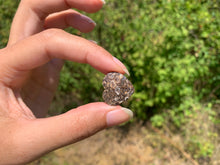 Charger l'image dans la galerie, Jaspe à turritelles 31