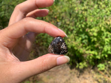 Charger l'image dans la galerie, Jaspe à turritelles 32