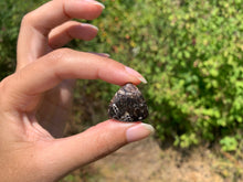 Charger l'image dans la galerie, Jaspe à turritelles 32