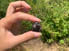 Charger l'image dans la galerie, Jaspe à turritelles 32