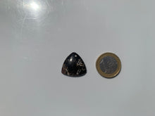 Charger l'image dans la galerie, Jaspe à turritelles 32