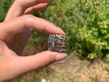 Charger l'image dans la galerie, Jaspe à turritelles 33