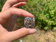 Charger l'image dans la galerie, Jaspe à turritelles 33