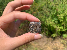 Charger l'image dans la galerie, Jaspe à turritelles 33