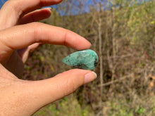 Charger l'image dans la galerie, Béryl Vert 20