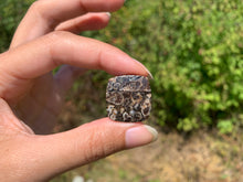 Charger l'image dans la galerie, Jaspe à turritelles 33