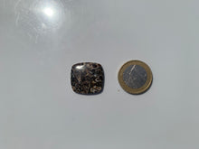 Charger l'image dans la galerie, Jaspe à turritelles 33