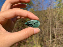 Charger l'image dans la galerie, Béryl Vert 23