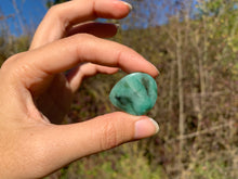 Charger l'image dans la galerie, Béryl Vert 24