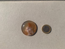Charger l'image dans la galerie, Agate Fleurie 3