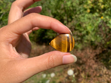 Charger l'image dans la galerie, Oeil de tigre 58