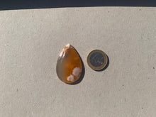 Charger l'image dans la galerie, VENDU Agate Fleurie 11