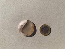 Charger l'image dans la galerie, Agate Fleurie 15