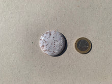 Charger l'image dans la galerie, Agate Fleurie 16