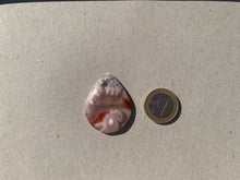 Charger l'image dans la galerie, VENDU Agate Fleurie 17