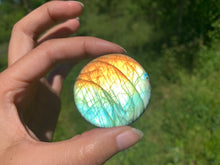 Charger l'image dans la galerie, VENDU Labradorite 239