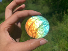 Charger l'image dans la galerie, VENDU Labradorite 239
