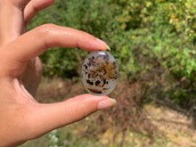 Charger l'image dans la galerie, Agate du Montana 2