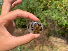 Charger l'image dans la galerie, Agate du Montana 2