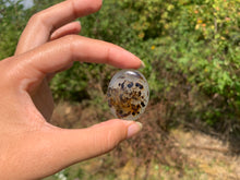 Charger l'image dans la galerie, Agate du Montana 2