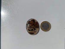 Charger l'image dans la galerie, Agate du Montana 2