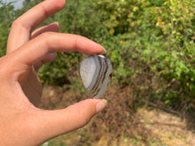 Charger l'image dans la galerie, Agate du Montana 3