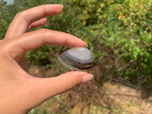 Charger l'image dans la galerie, Agate du Montana 3