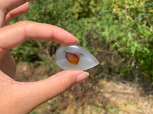 Charger l'image dans la galerie, Agate du Montana 4