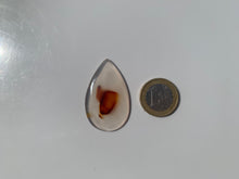 Charger l'image dans la galerie, Agate du Montana 4