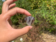 Charger l'image dans la galerie, Agate du Montana 6